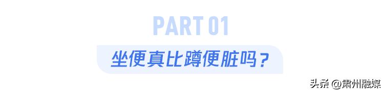 马桶和蹲便器哪个更脏,公共厕所马桶到底有多脏