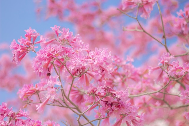 人生如梦岁月如梭往事不堪回首,人生如梦时光匆匆岁月无声