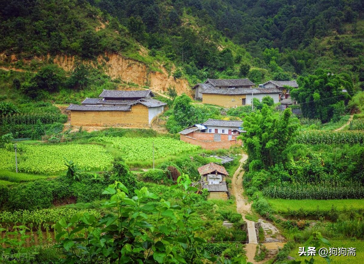 驴事,驴事民间故事