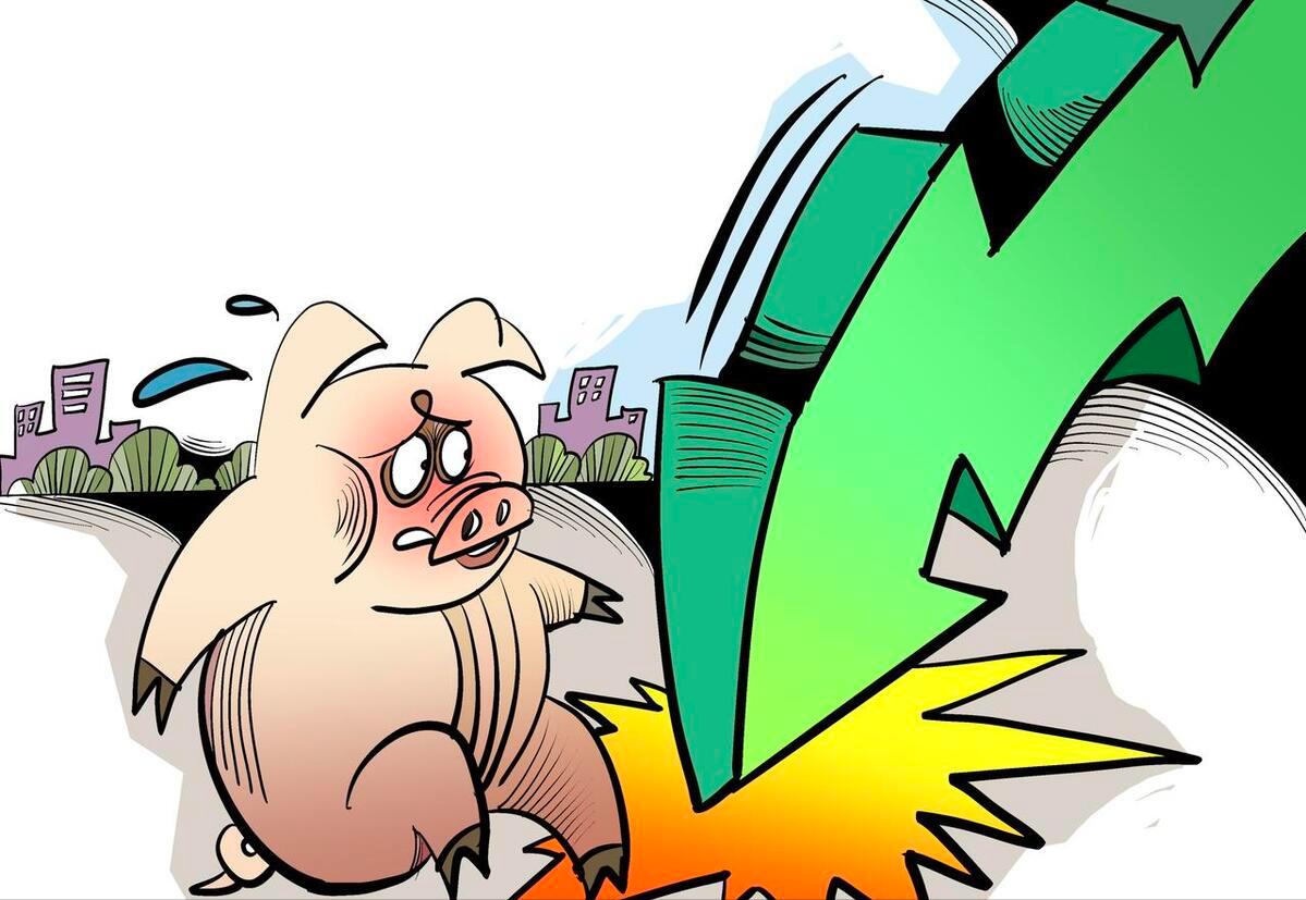 猪价如何走出涨跌怪圈,低位横盘半年后创新低