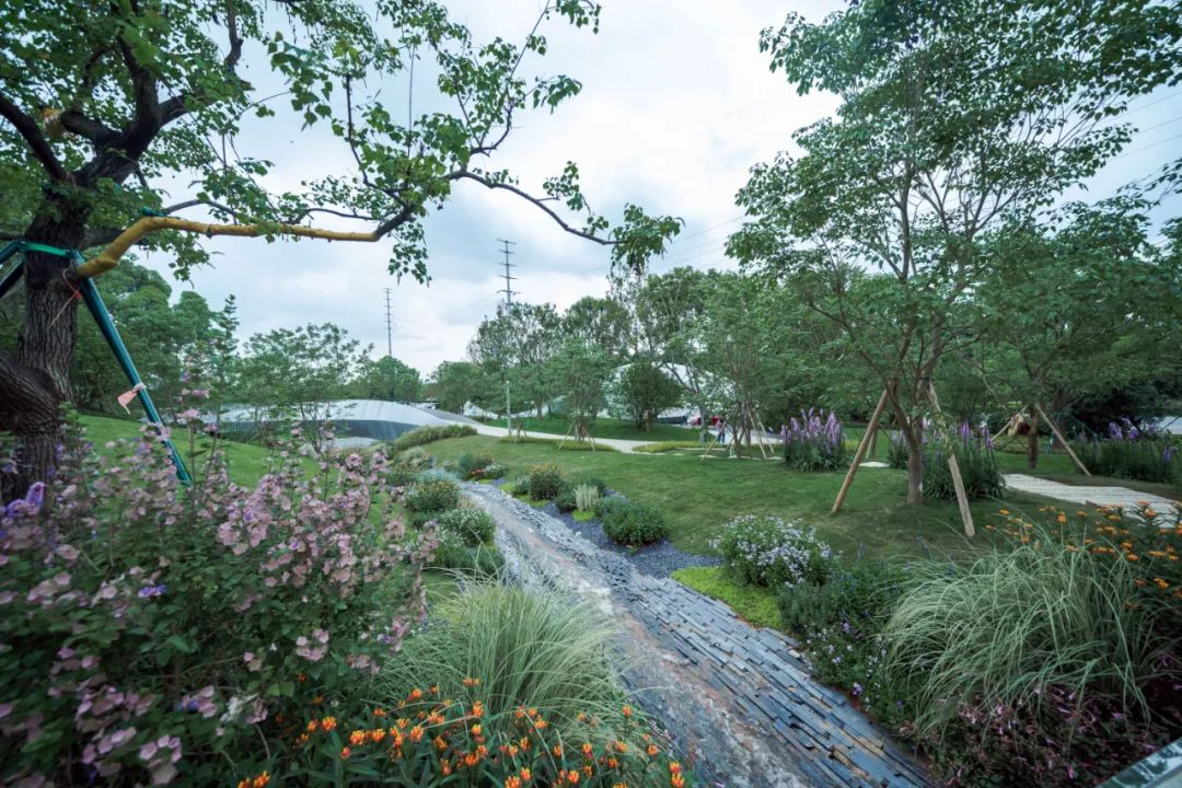 老婆背着我买奢侈品包,老婆背着我去旅游了