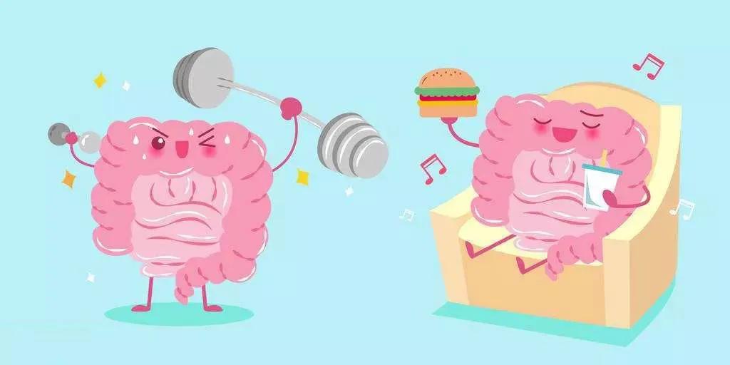 一个小息肉是什么,1毫米息肉会自己消失吗