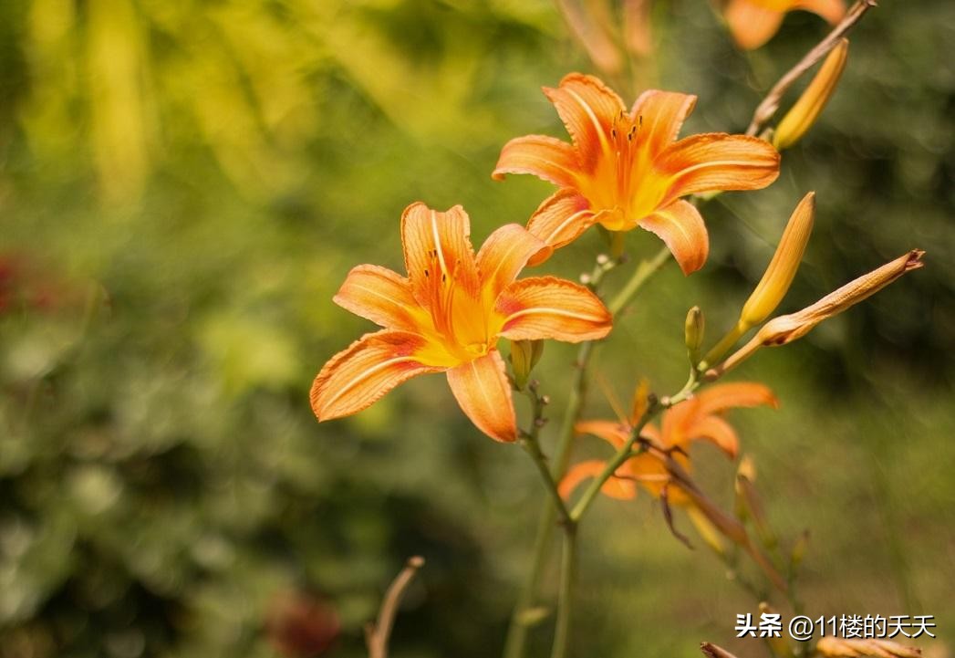 不联系的微信好友是删除还是拉黑,没有联系的微信好友要不要删除