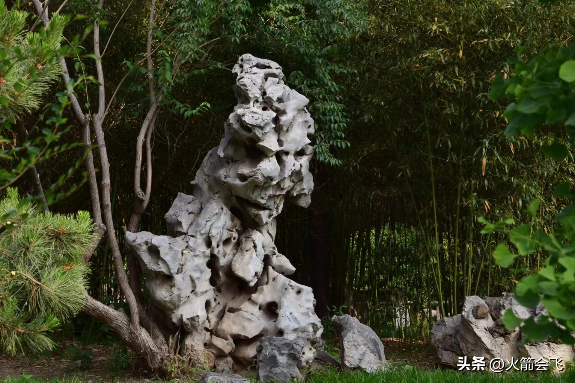 天津旅行攻略七日游价格多少,12小时极限游天津