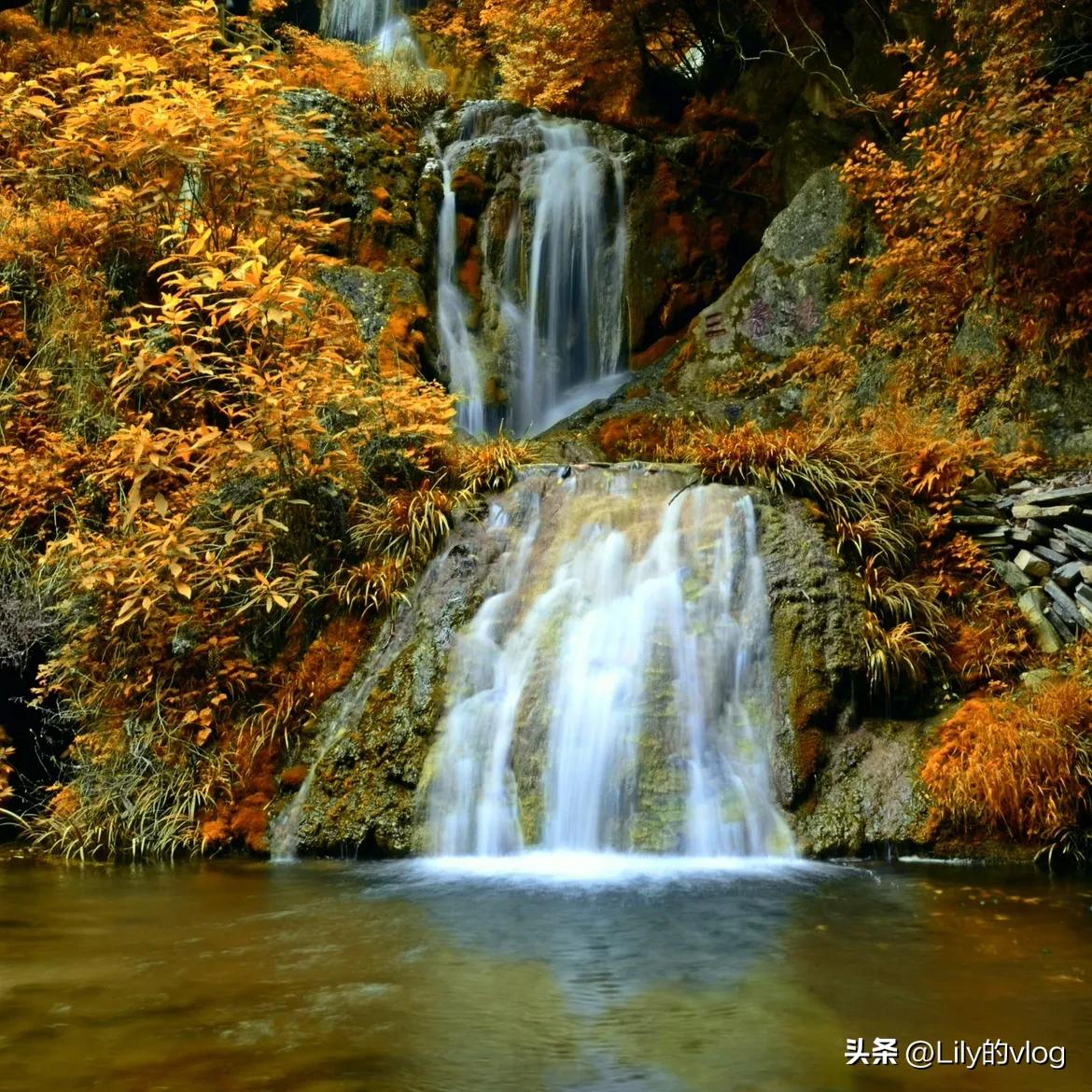 南漳县介绍视频,南漳县介绍在哪里