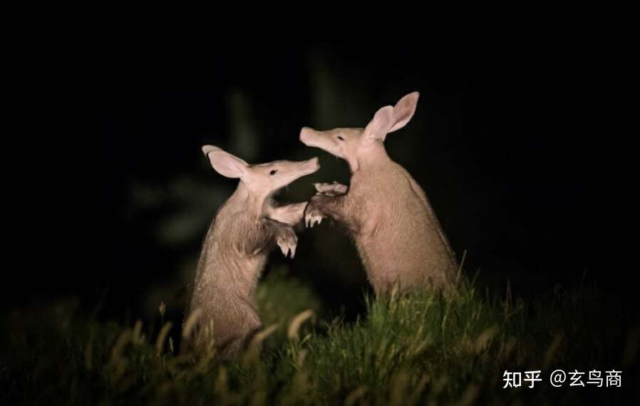 山海经2012白话全译彩图版pdf,山海经海外西经是指哪里