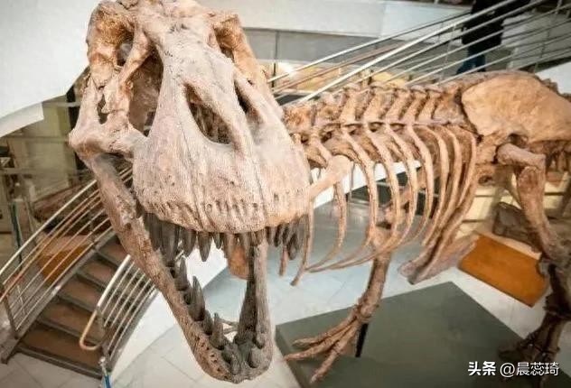 北大“唯喵喵”系，一人请假，全校放假，十多个教授教一个学生