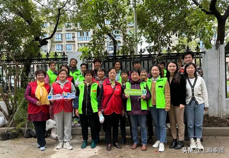 拆迁安置房怎么分家析产,拆改结合型小区