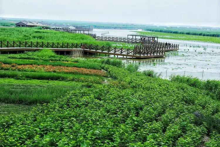 中国旅游地图天津附近,天津宁河附近景区
