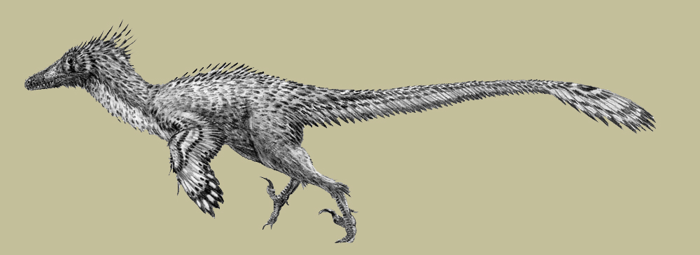 五种比霸王龙还厉害的恐龙,十种可以秒杀霸王龙的恐龙