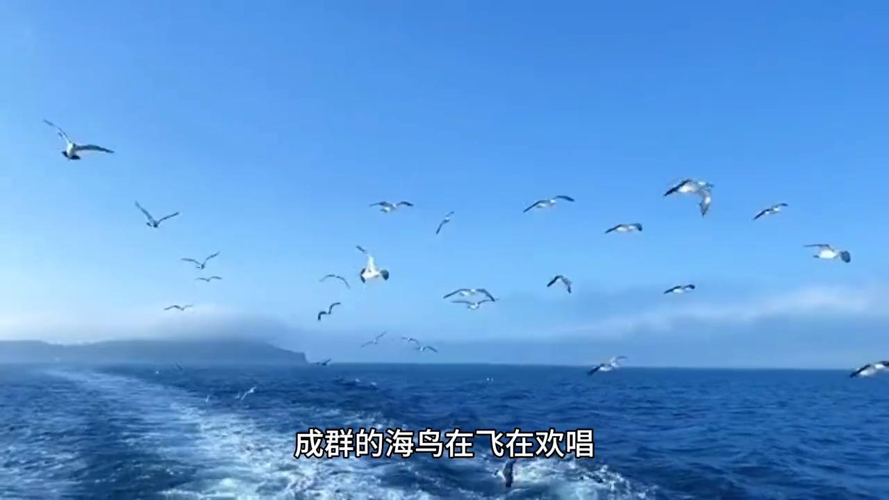 母亲说：什么海？那是大坑！大坑还在，母亲走了……