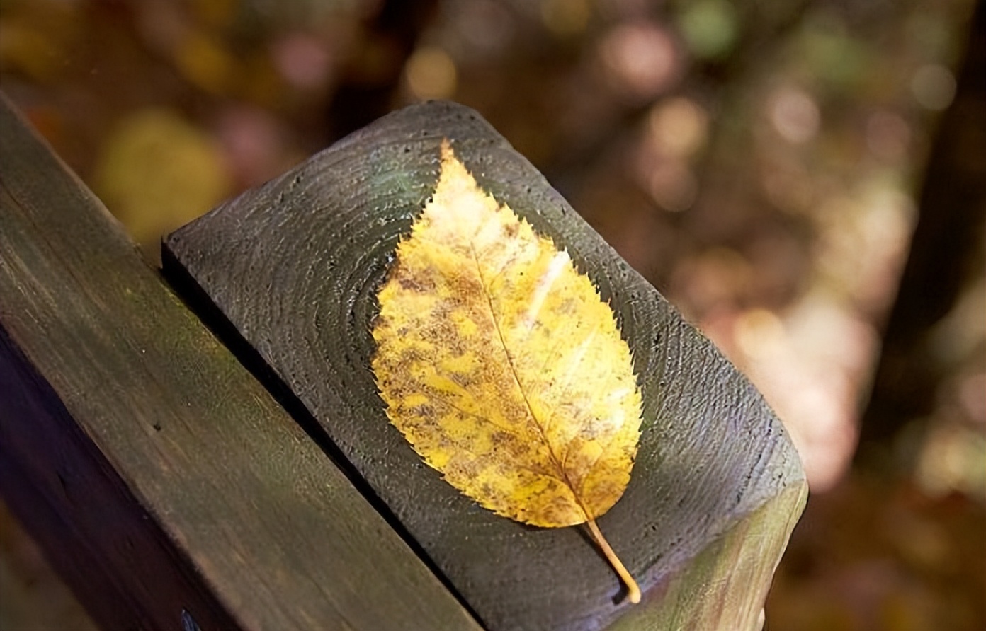 女人没钱时怎么对自己好,女人越来越没钱