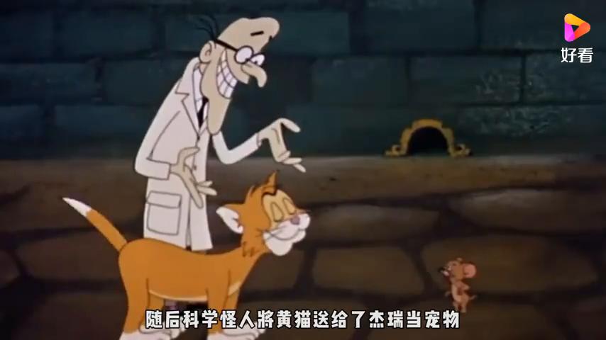 猫和老鼠黑魂,猫和老鼠黑衣