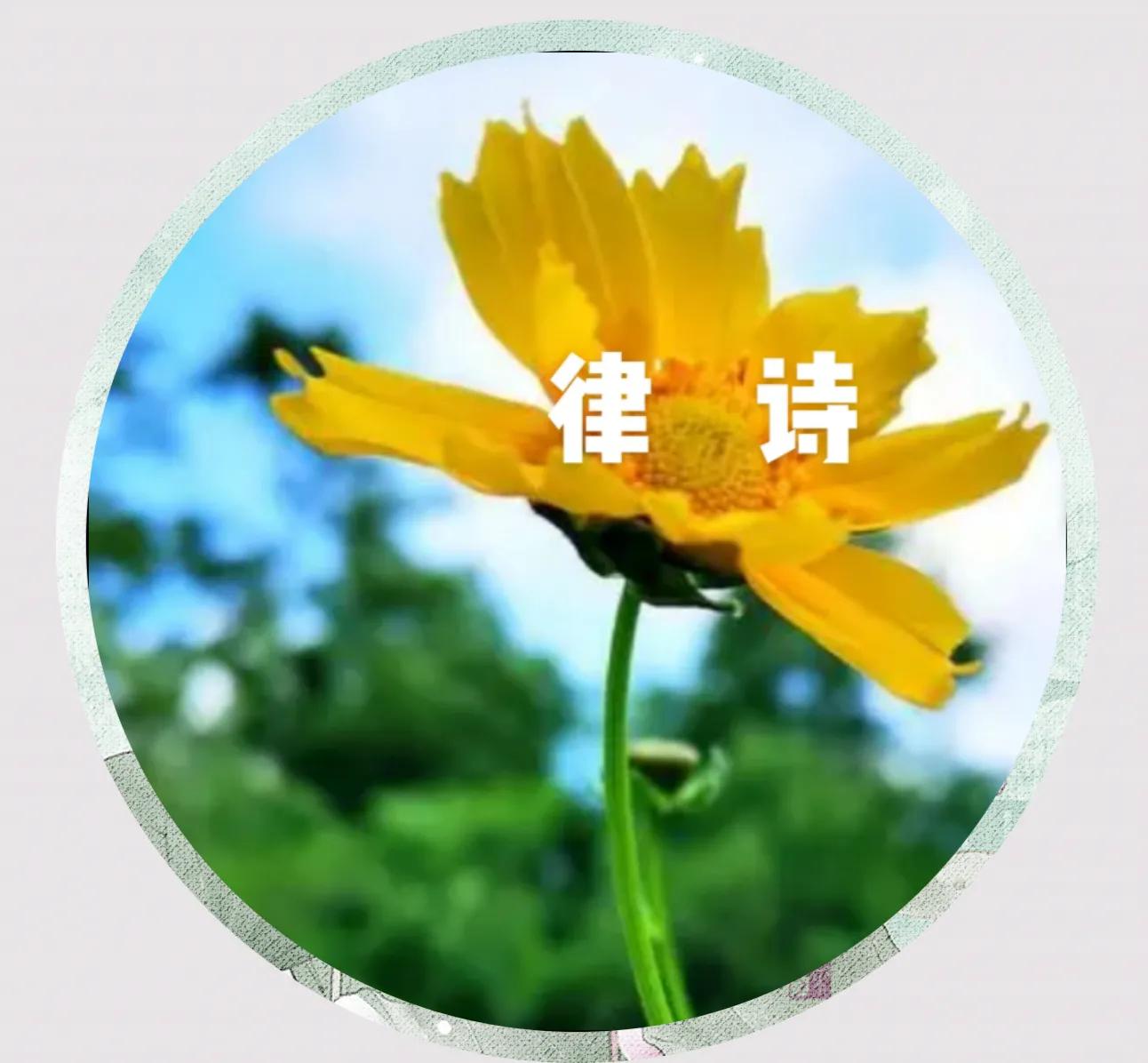 绿汀文学社,2021年绿汀文学社第5期