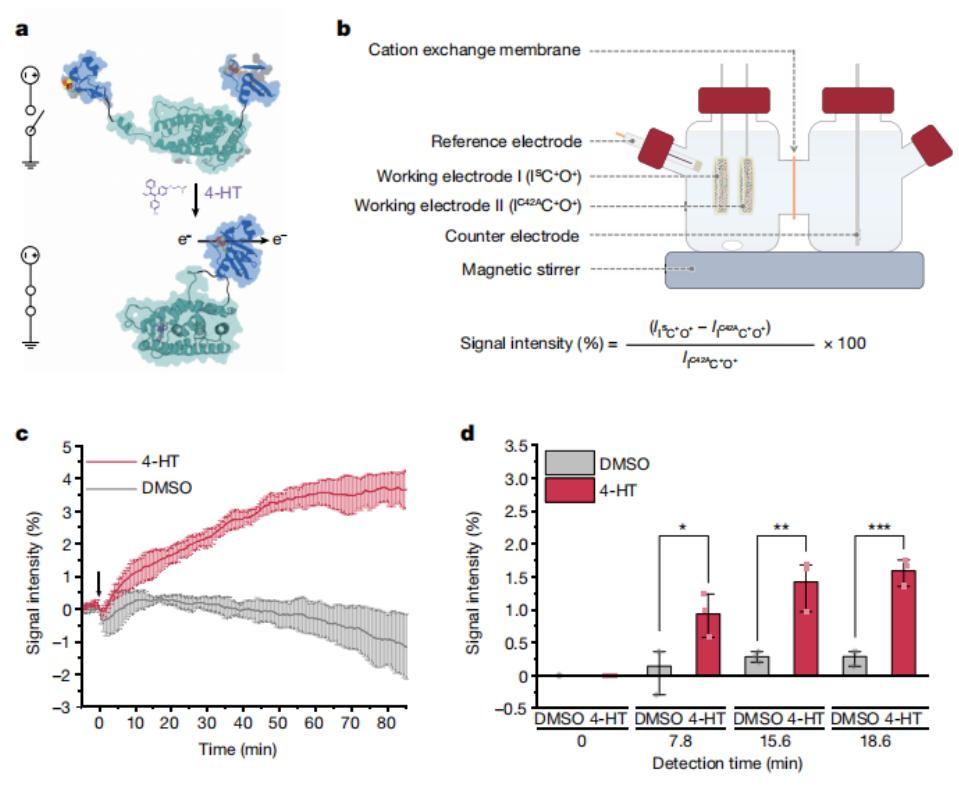 未来的生物传感器,人工智能生物传感器
