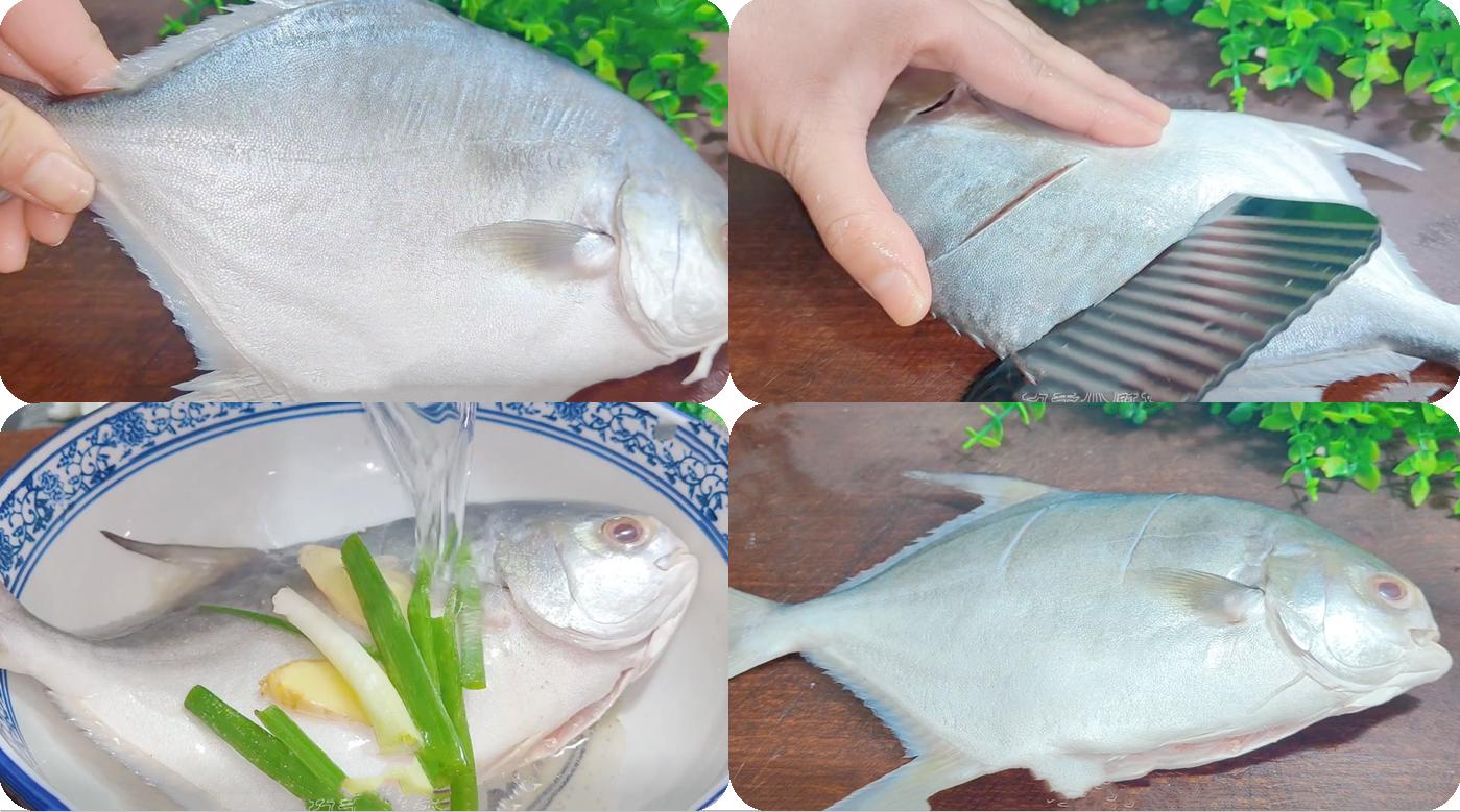 春季养生宜选择的几种野生海鱼,什么海鱼最好养又营养