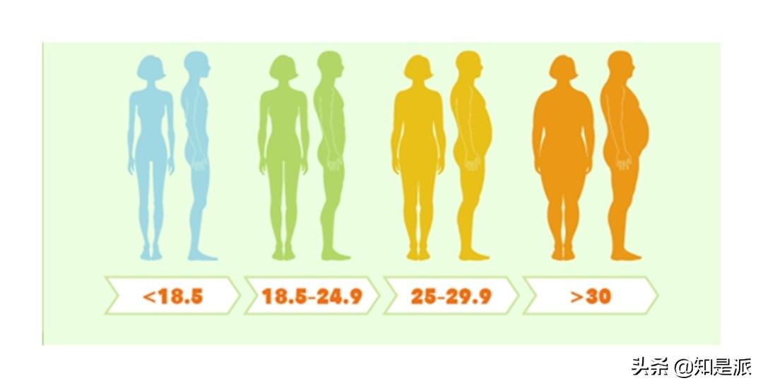 bmi说你胖就必须减肥吗,bmi超过多少就很难减肥成功