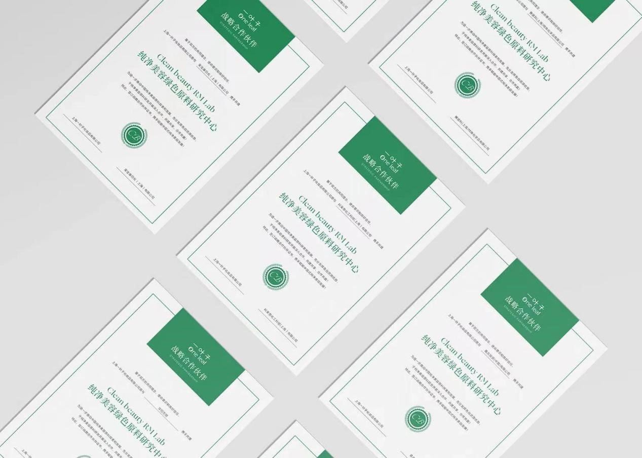 上美股份有哪些品牌,上美一叶子