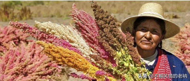 没买过什么不得了的东西,没买过东西