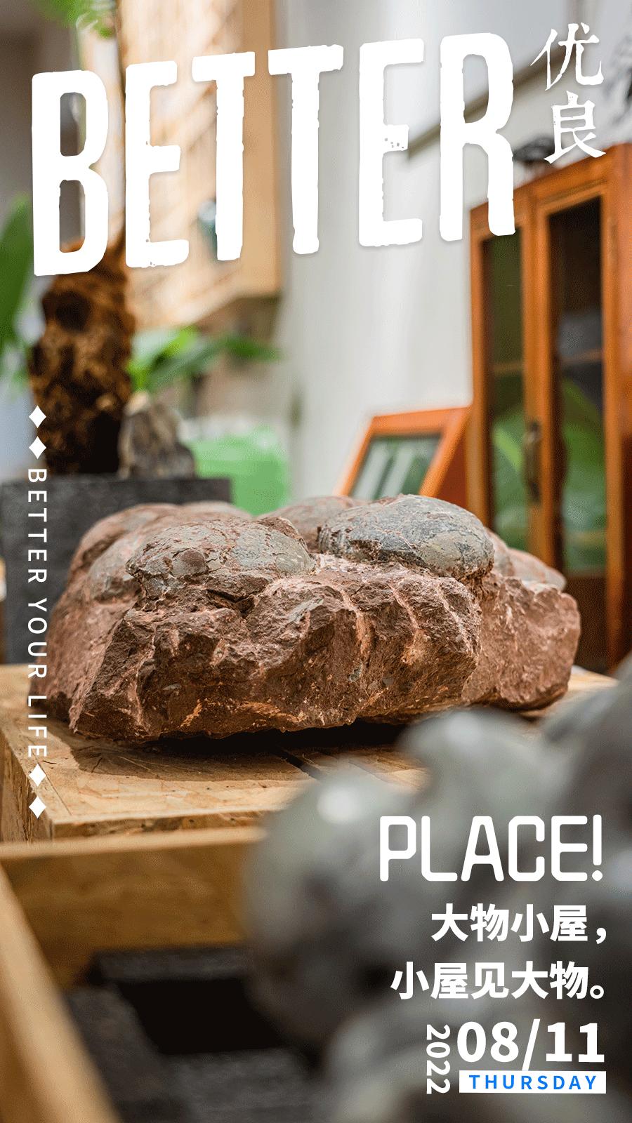 我在这家化石手作店，体验了一把「赌石」的快乐