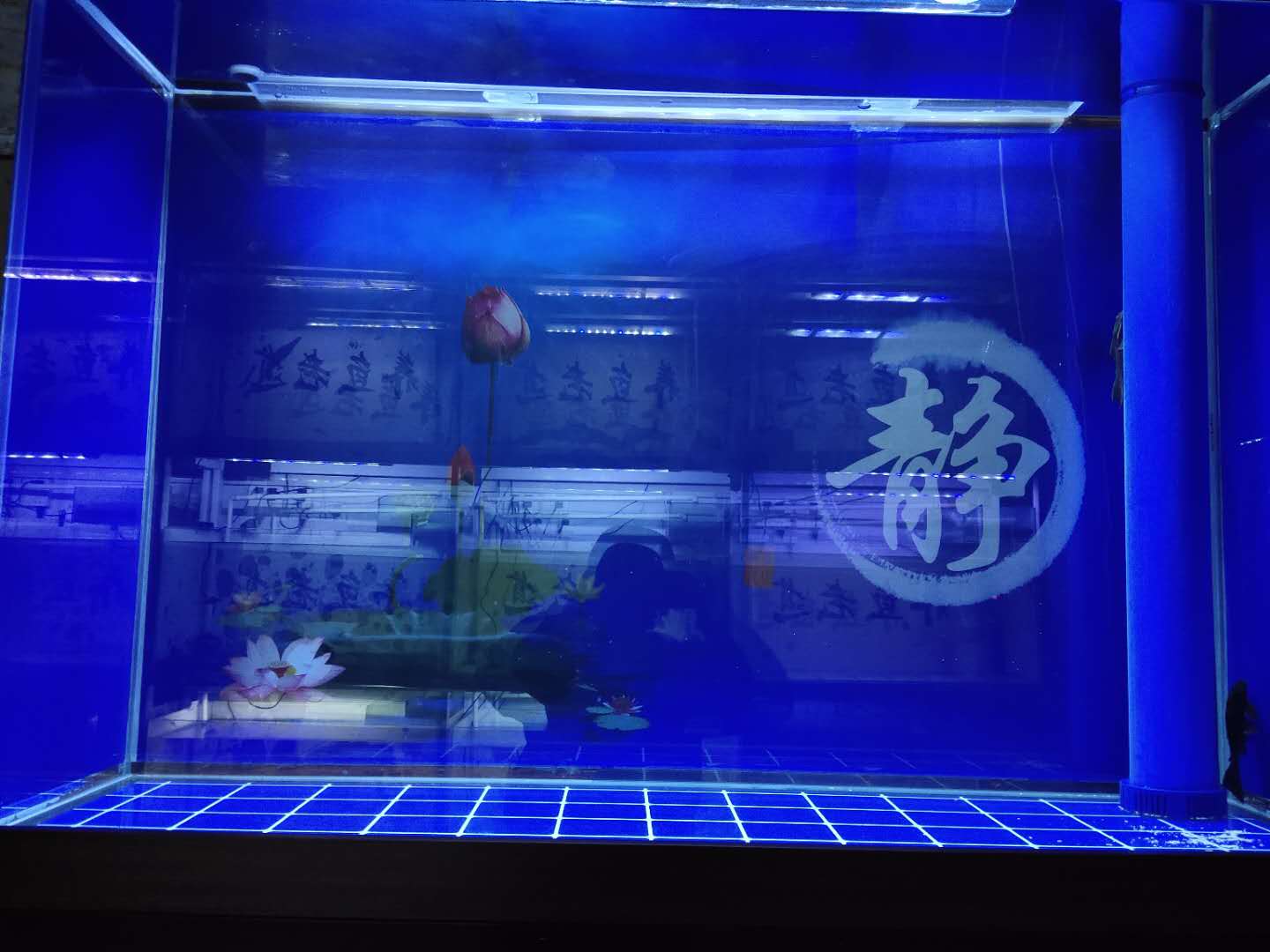 家里的大鱼缸不养鱼怎么利用,家里有大鱼缸还能再养个小鱼缸吗