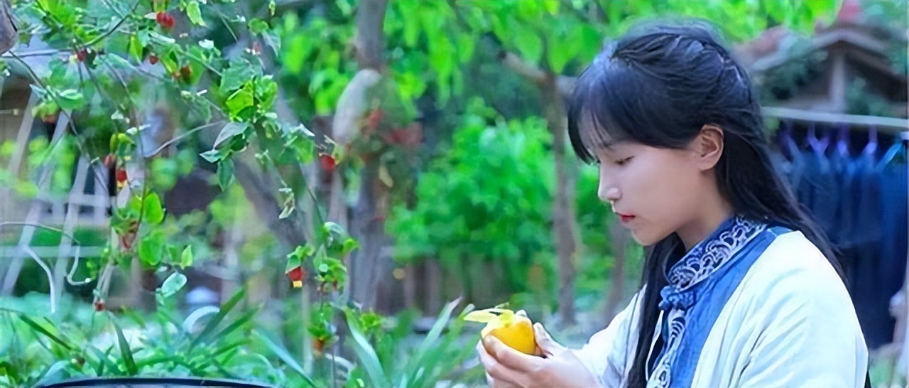 网红收入最高的前十名学历排行,为什么学历不高的网红月入10万