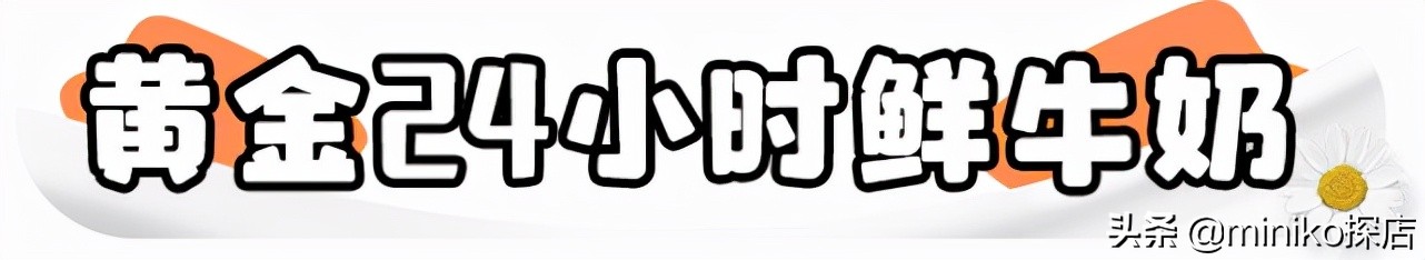 良心推荐十款鲜牛奶,好的鲜牛奶推荐