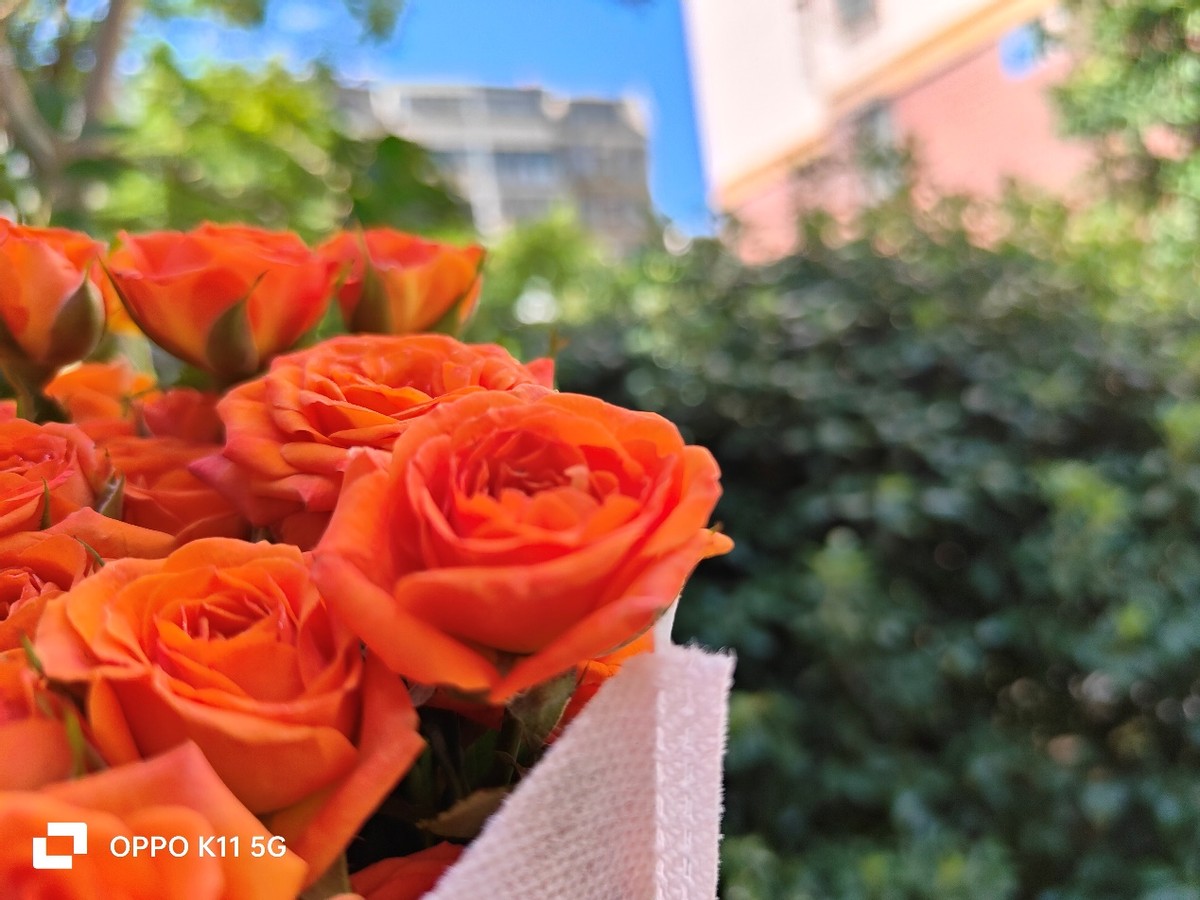 全面解析oppok11,oppok11打和平精英到底行不行