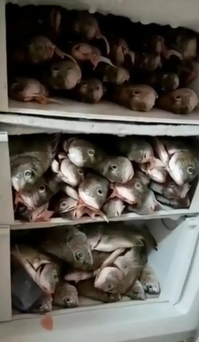 钓鱼一旦上瘾比赌博还可怕,钓鱼会上瘾吗怎么戒掉