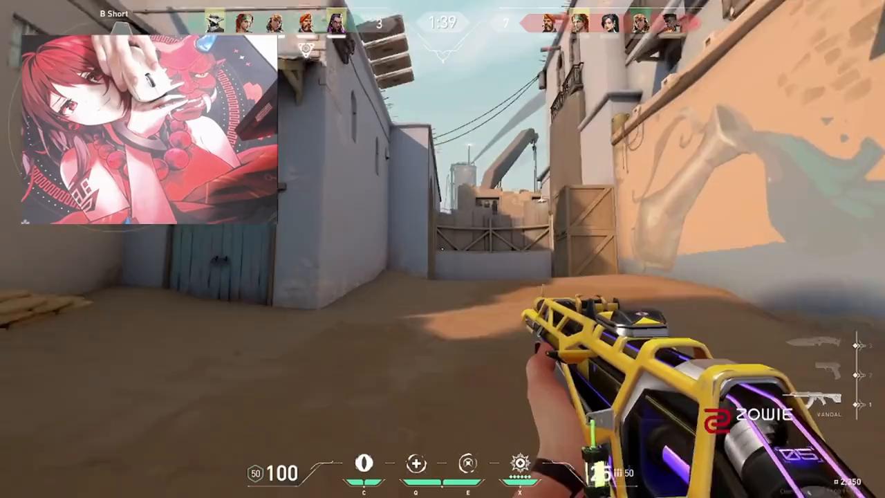 字母哥无畏契约外设,无畏契约平民外设