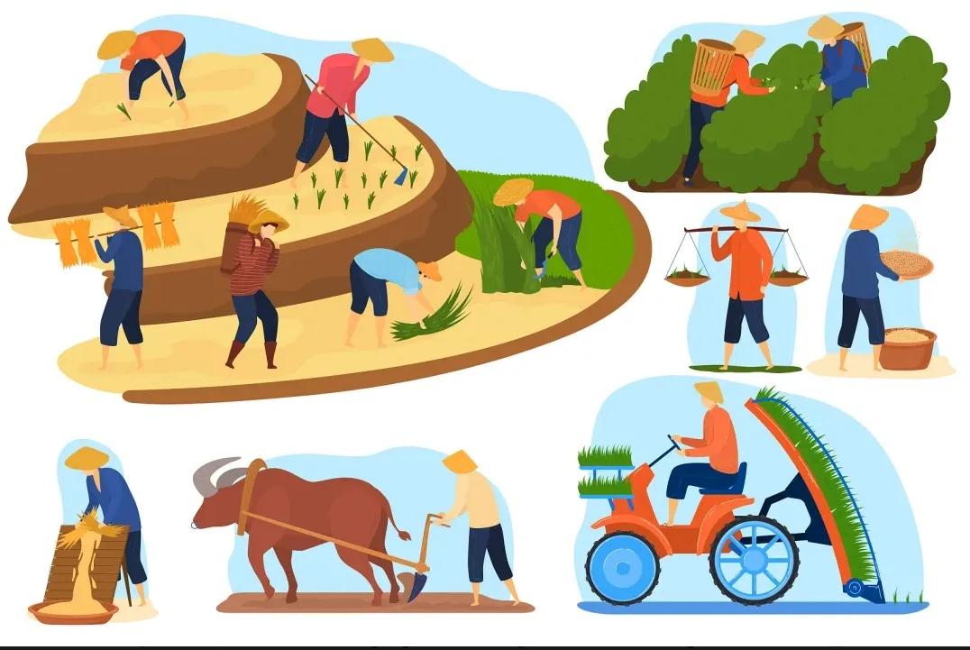 大树法则是谁提出来的,大树法则的四个条件