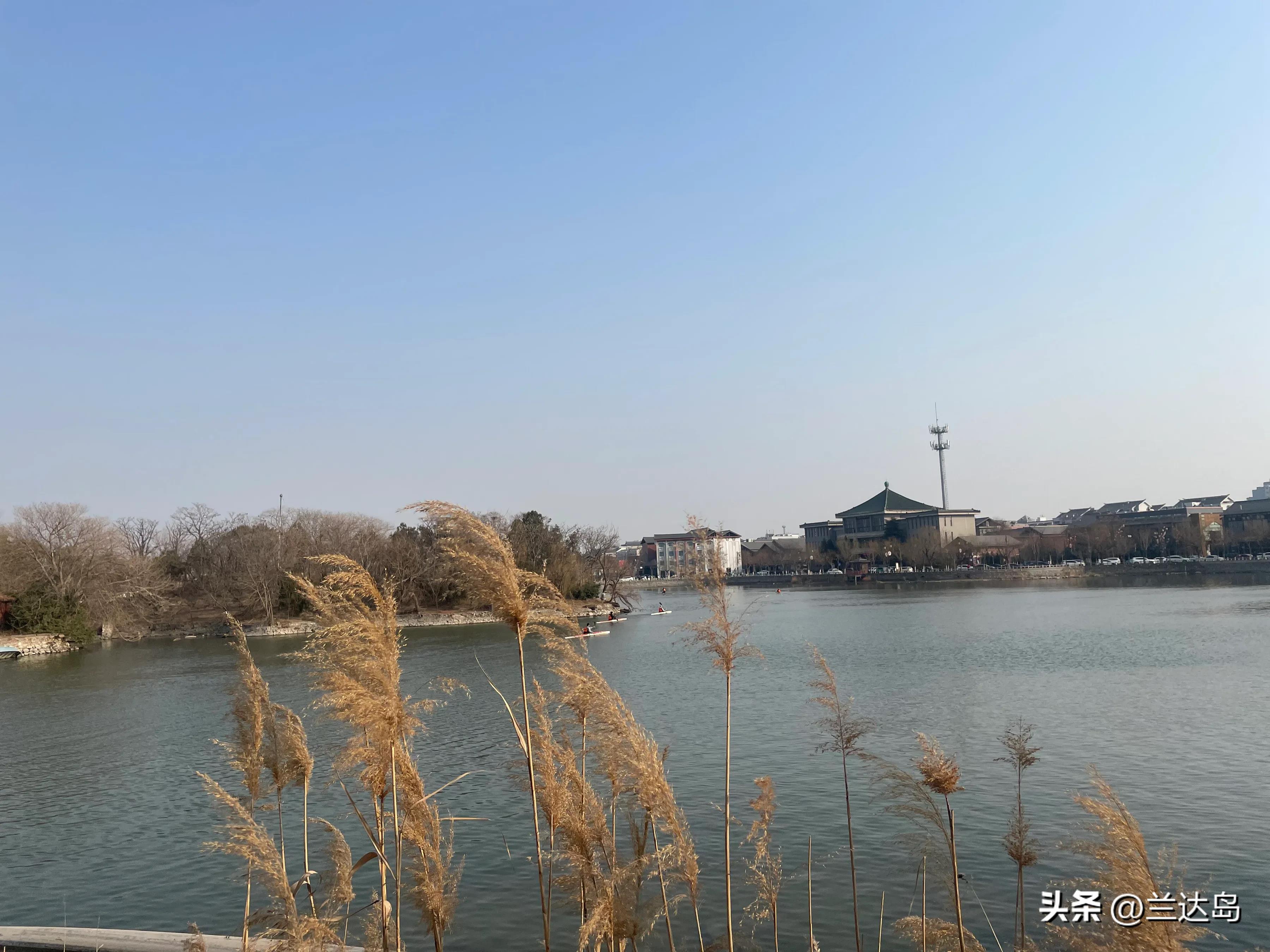 关于我妈的日常分享,分享关于母亲的一些经历