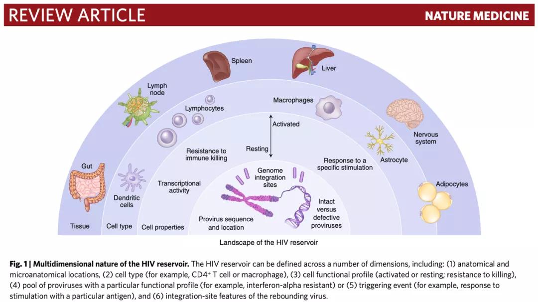 艾滋病治疗新进展知网,naturemedicine抗癌