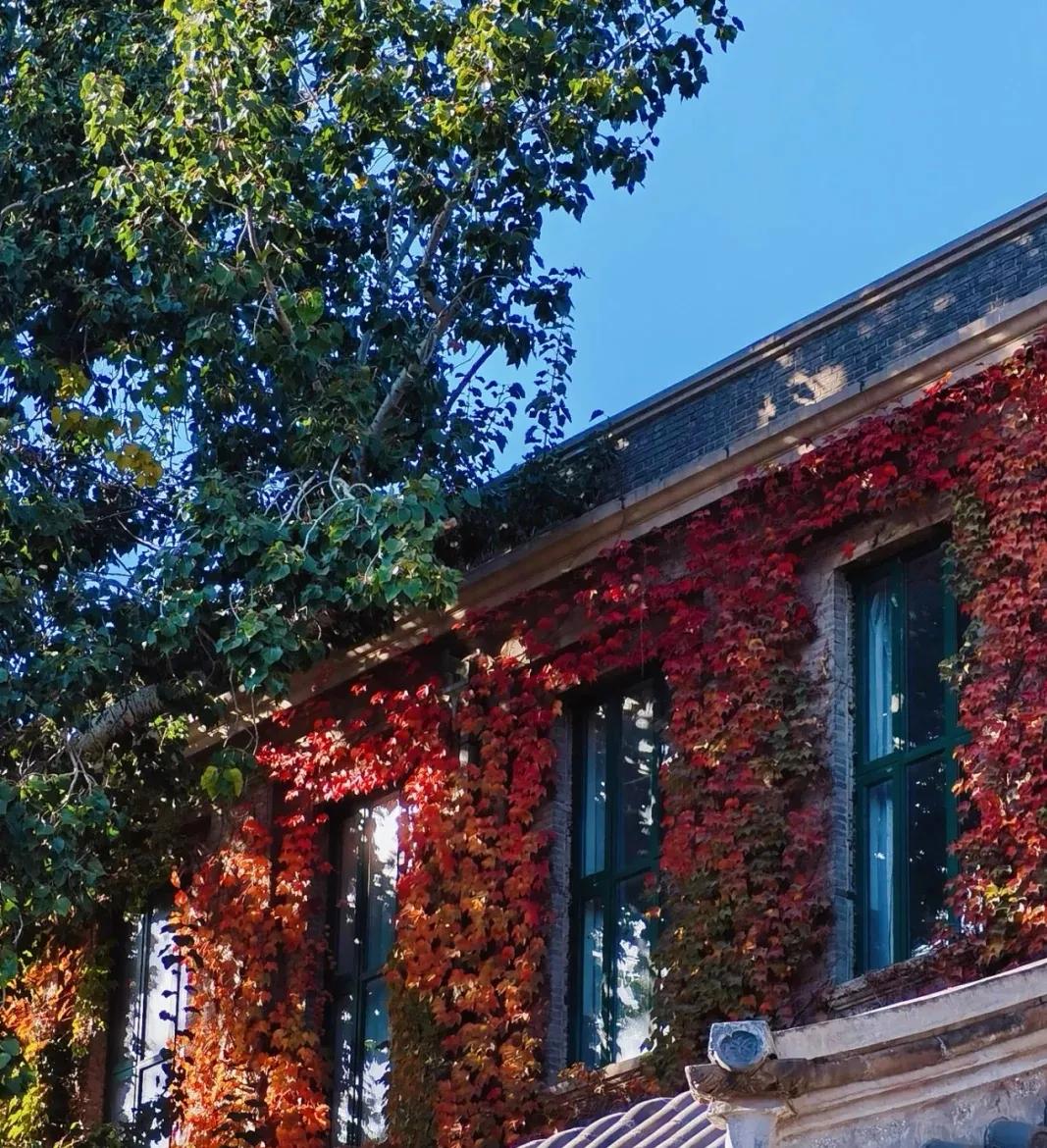 胡同逛游指南，在北京这4条胡同里邂逅别样秋色