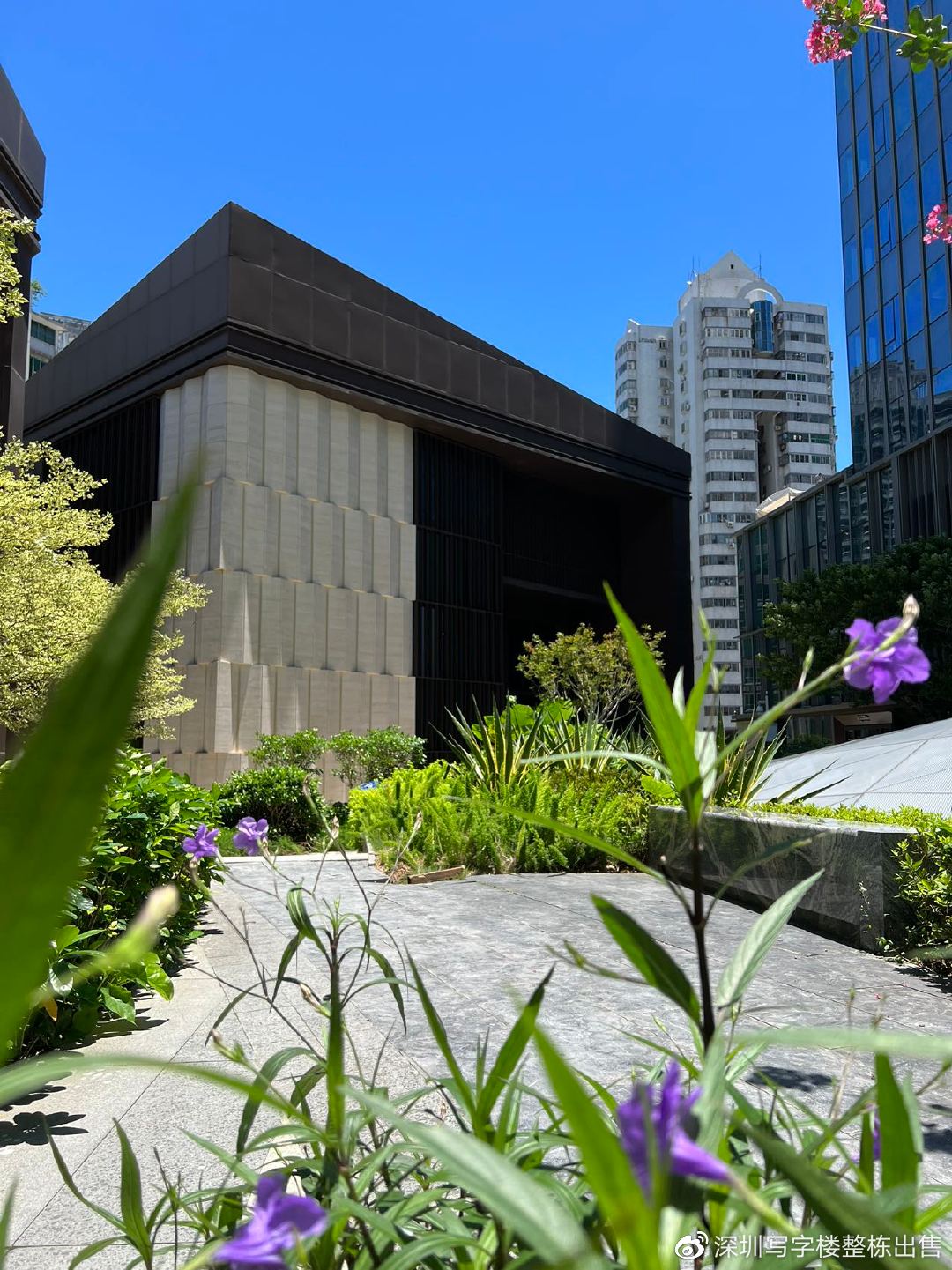 深圳罗湖水贝珠宝园写字楼出租,深圳罗湖区水贝租房子