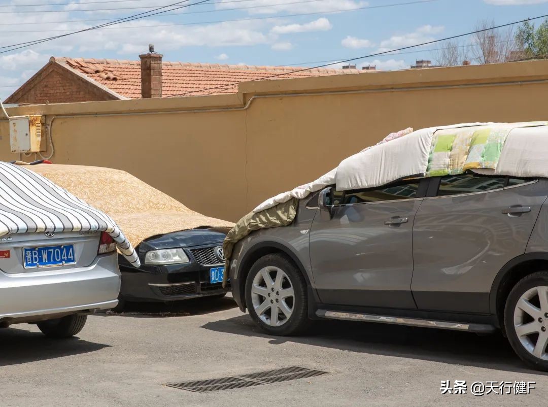 汽车投稿作品欣赏,汽车征文获奖