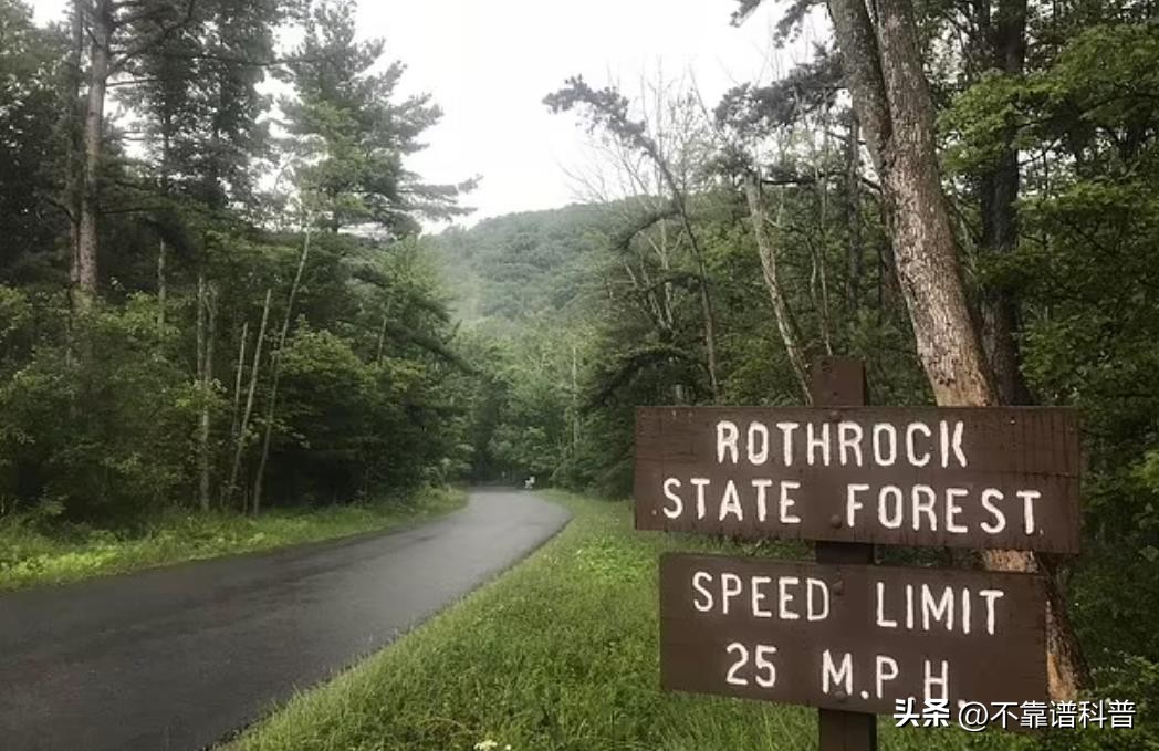 美国大学教授事件后续,美国大学丑闻事件后续