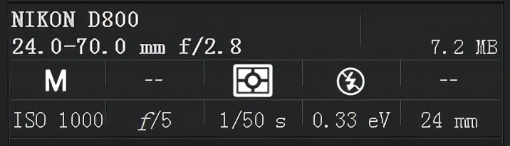 尼康d800能拍鸟吗,尼康d800e怎么样
