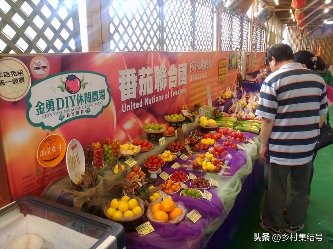 台湾番茄农场,低成本打造高颜值农场