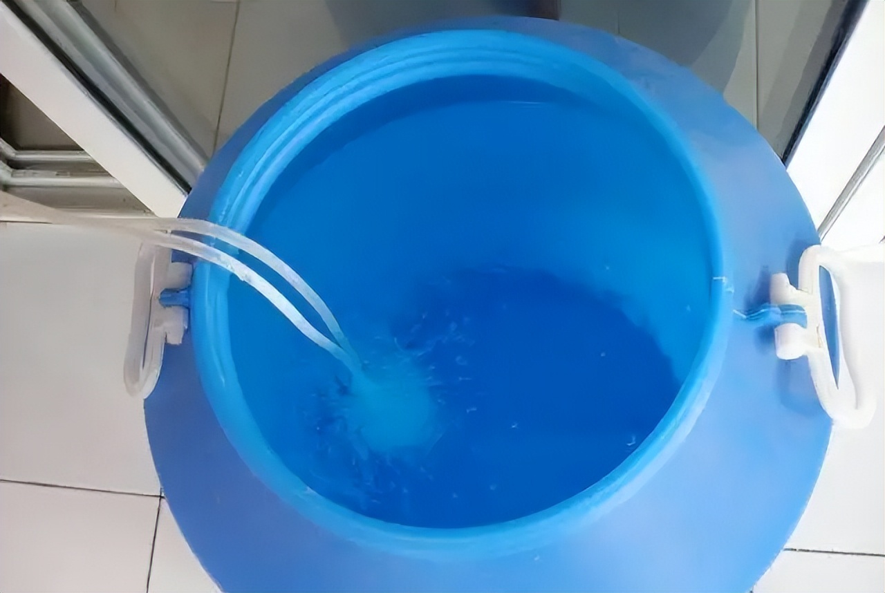 零基础养鱼没有缸怎么才能养活,小朋友五年级养鱼怎么才能养活