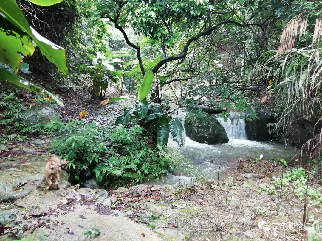 溯溪攀爬,溯溪徒步露营