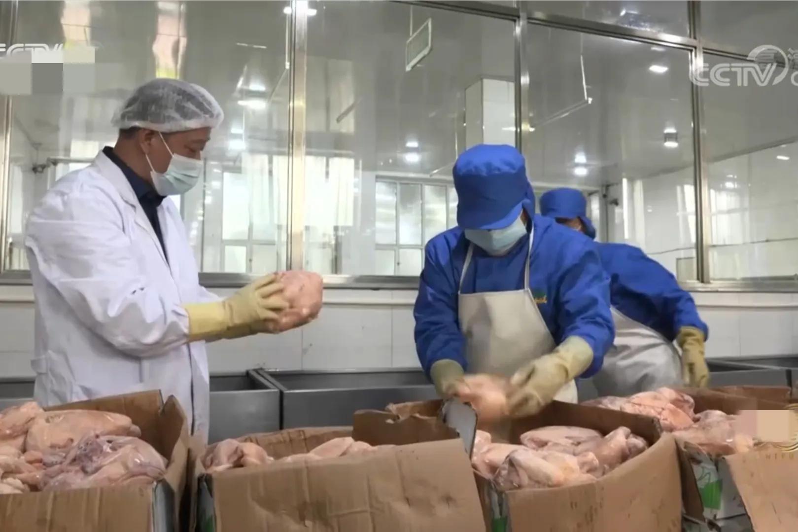 浙江男子把鸡和猪塞进大缸，靠278口大缸，一年销售额3000多万元