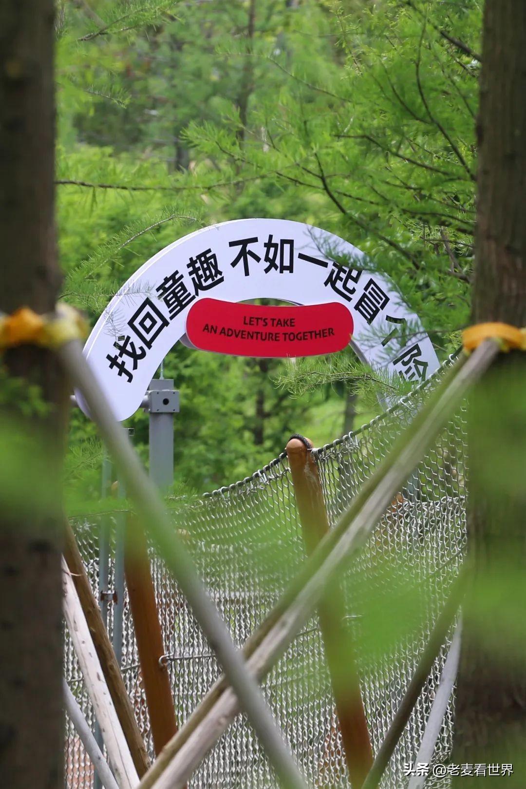 打卡公园东莞游玩攻略,东莞森林公园攻略