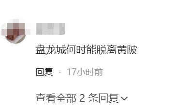 盘龙城发展前景规划,盘龙城和长江新区哪里潜力大