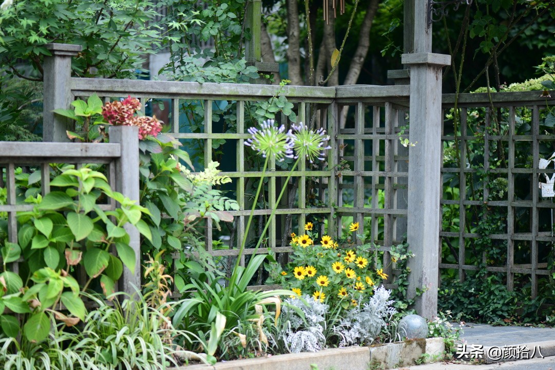 看到你的花园那么惨，我就安心了|园丁