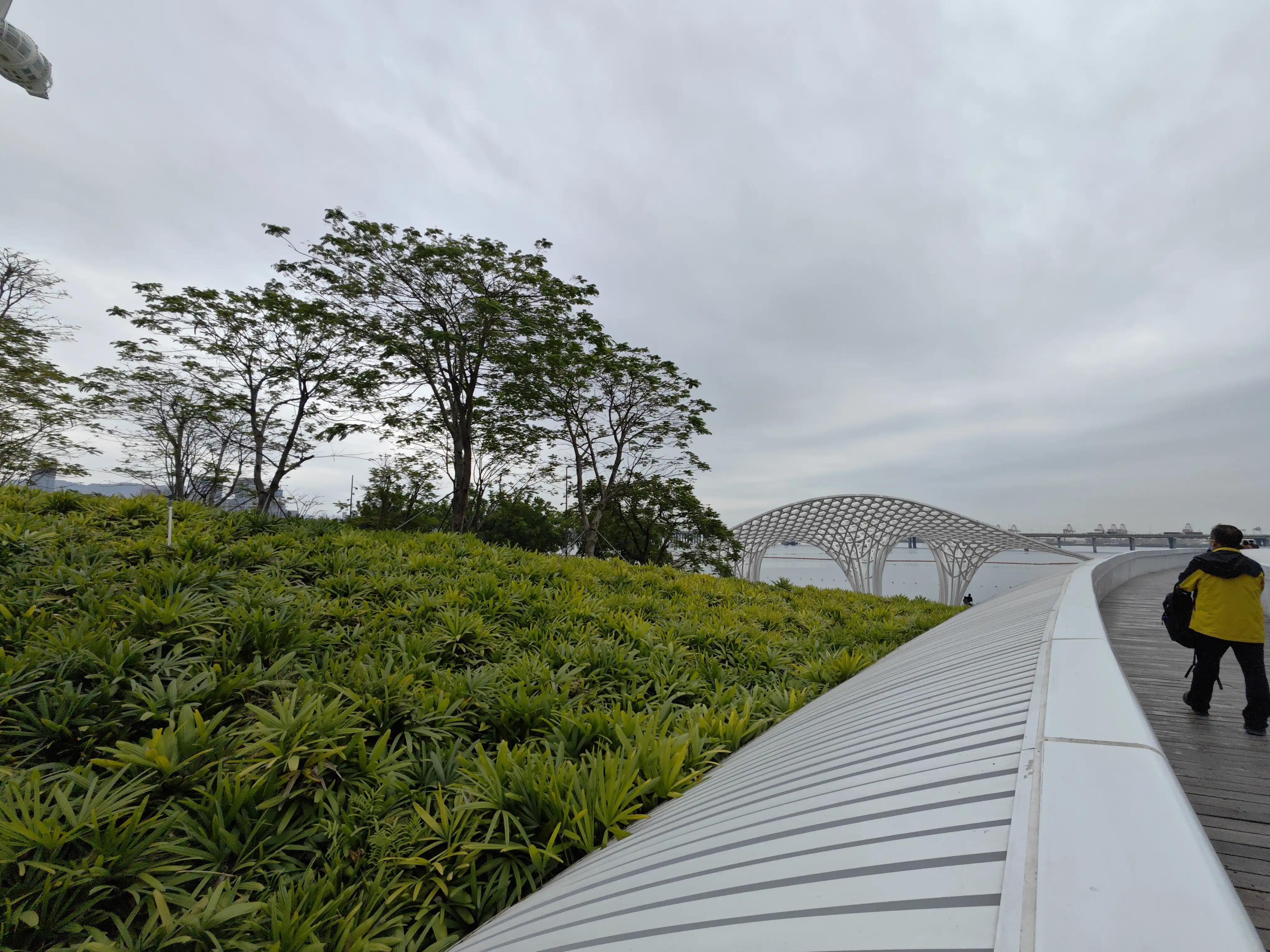 宝安滨海廊桥路线图,宝安滨海廊桥入口