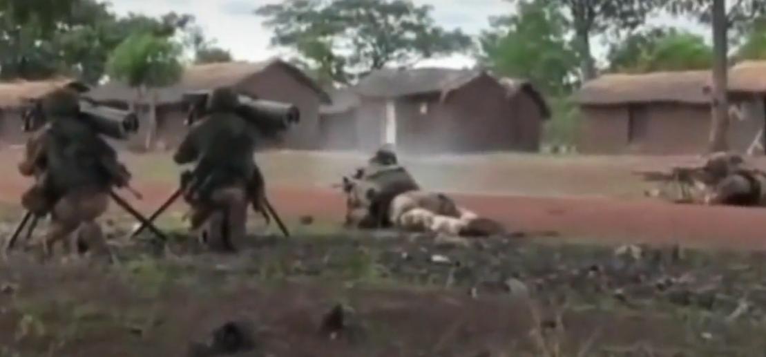 小杨哥连线半只狐狸,小杨哥和半只狐狸连麦