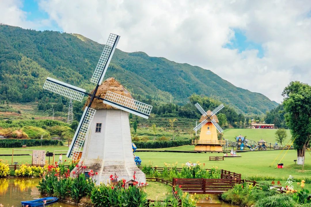 在温过大年！这几条“百县千碗”美食体验线路真的好吃又好玩
