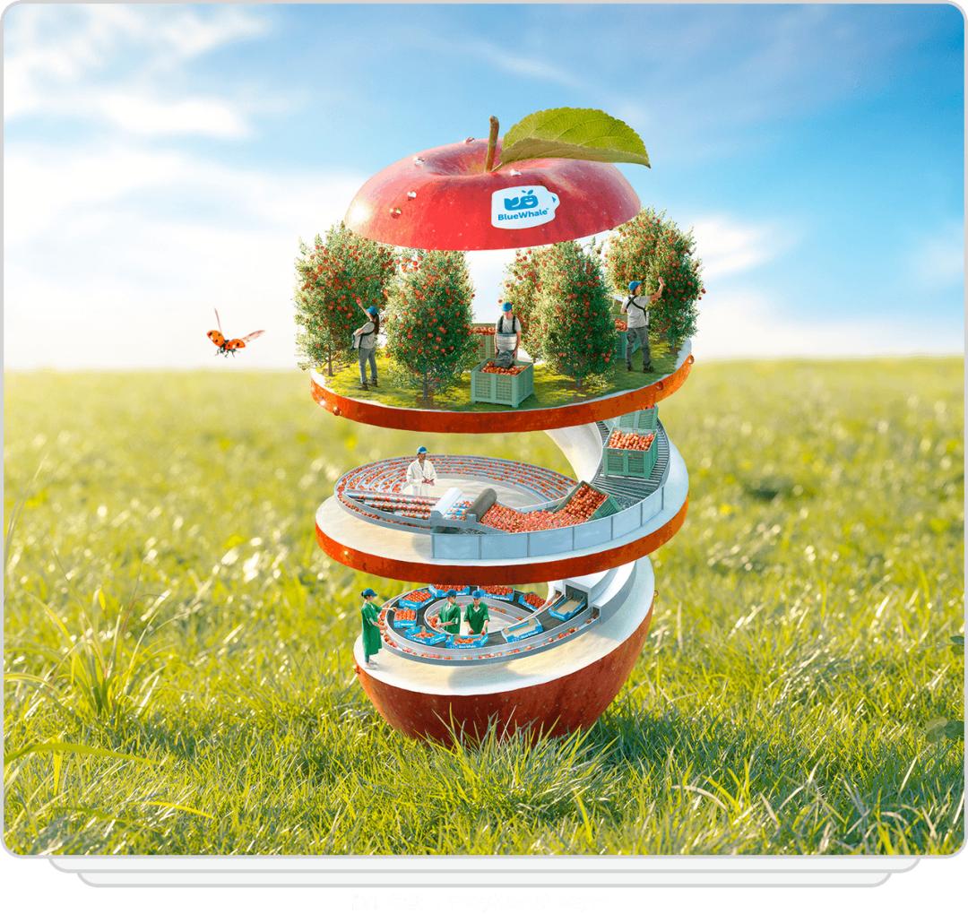 版式设计的十大技巧,版式设计要注意的点