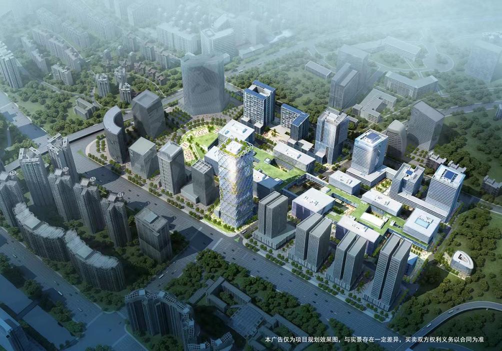 深圳湾绿化环境,深圳湾环境怎么样